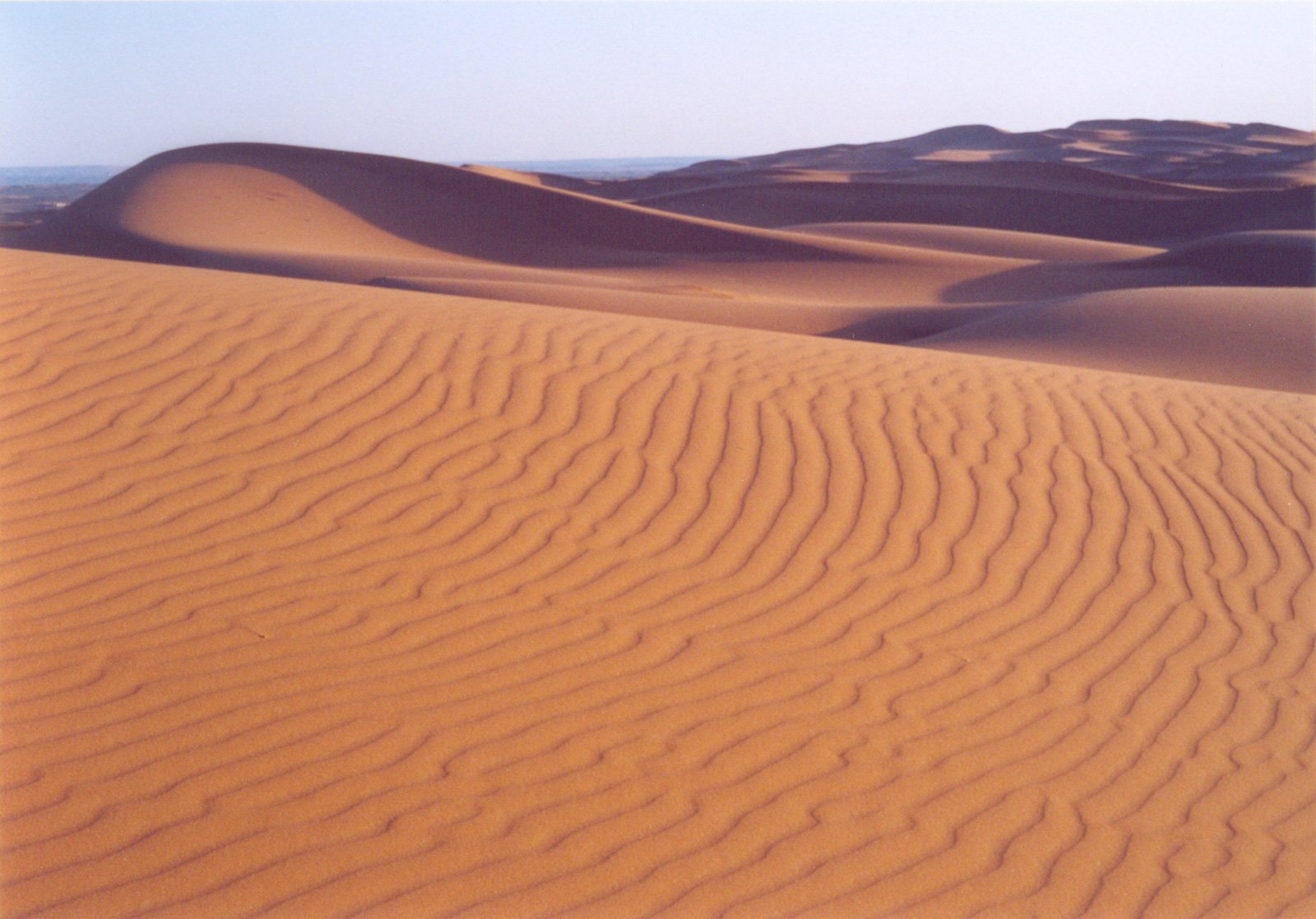 Sand dunes in the desert