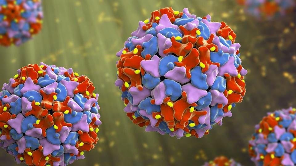3D illustration of poliovirus particles